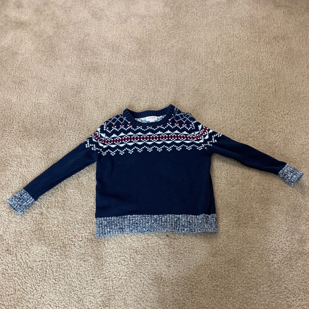 Boys Cat & Jack Sweater
